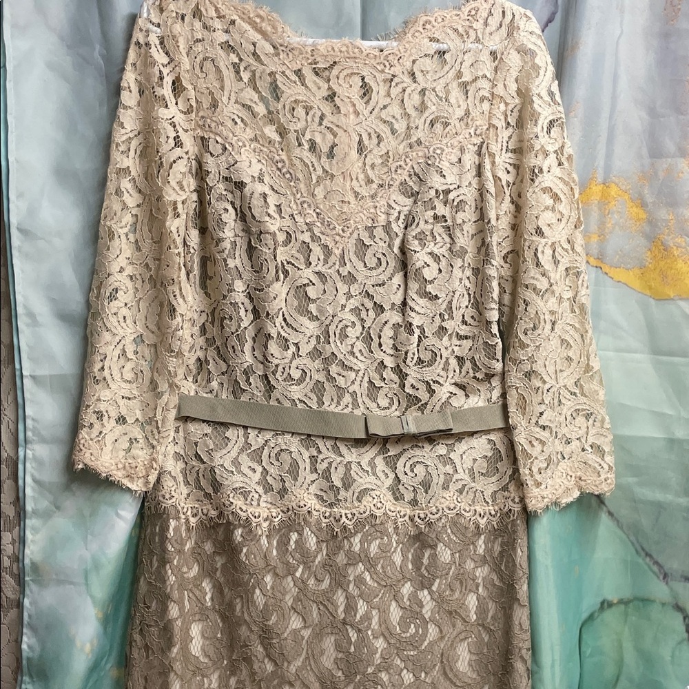 Tadashi Shoji Lace 3/4 Sleeve Dress in Cream and Tan with Belt
